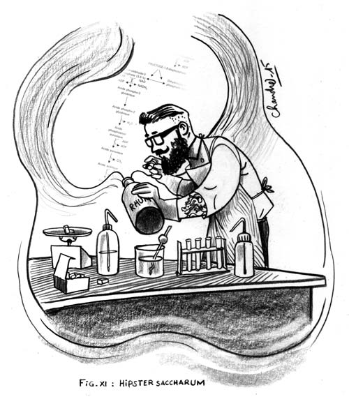 hipster-saccharum