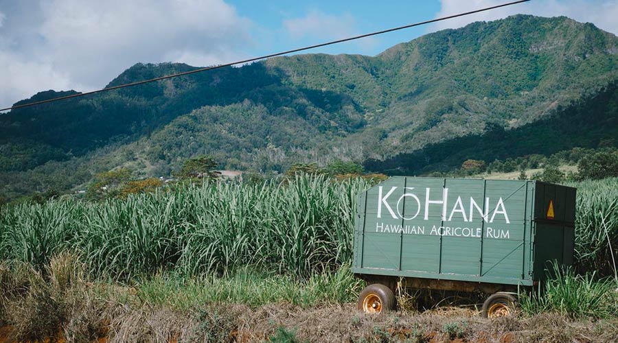 Rhum Kohana