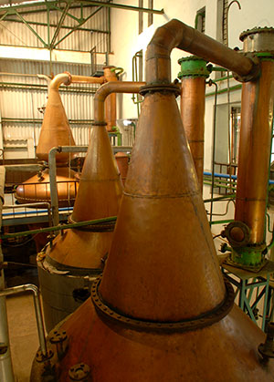 Two Indies Rum