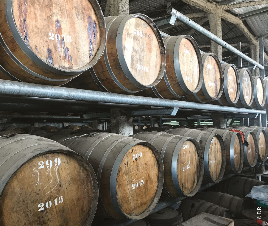 Distillerie Rhum Saint-Maurice Guyane
