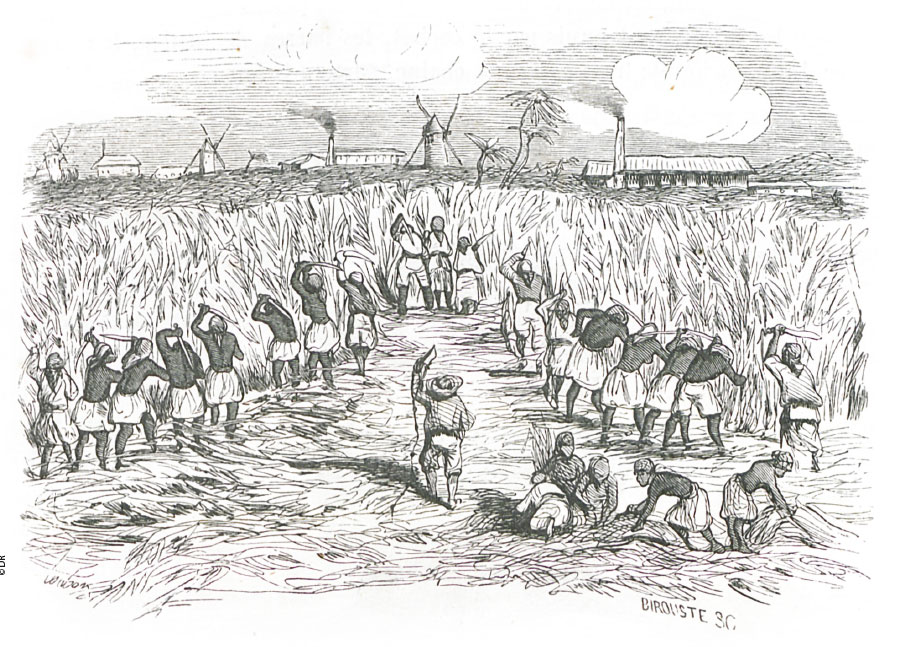 Histoire Rhum français
