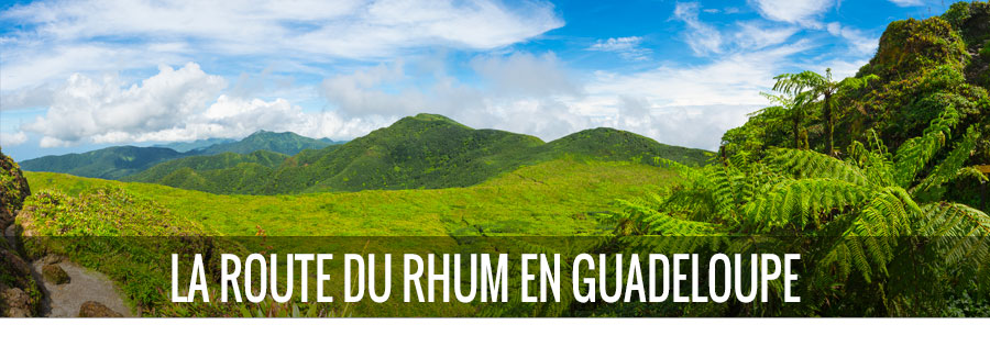 Faites une dégustation de rhum durant votre séjour en Guadeloupe