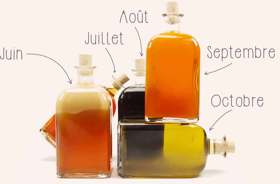 L'Arrangé Maison