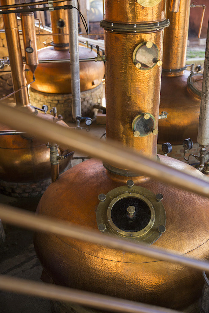Alambic cachaça