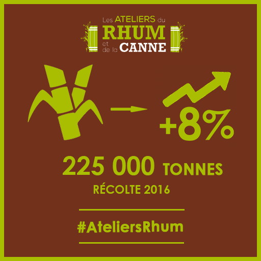 Les ateliers du Rhum et de la Canne - récolte 2016