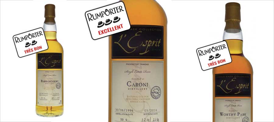 degustation-esprit