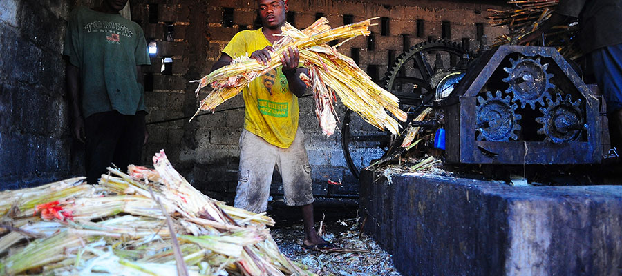 rhum-melasse-vesou-1