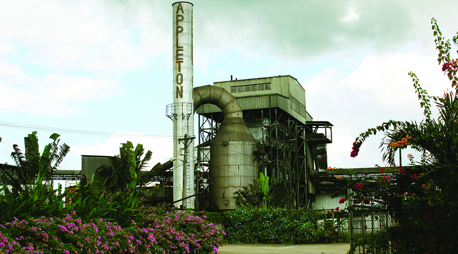 Distillerie Appleton Estate