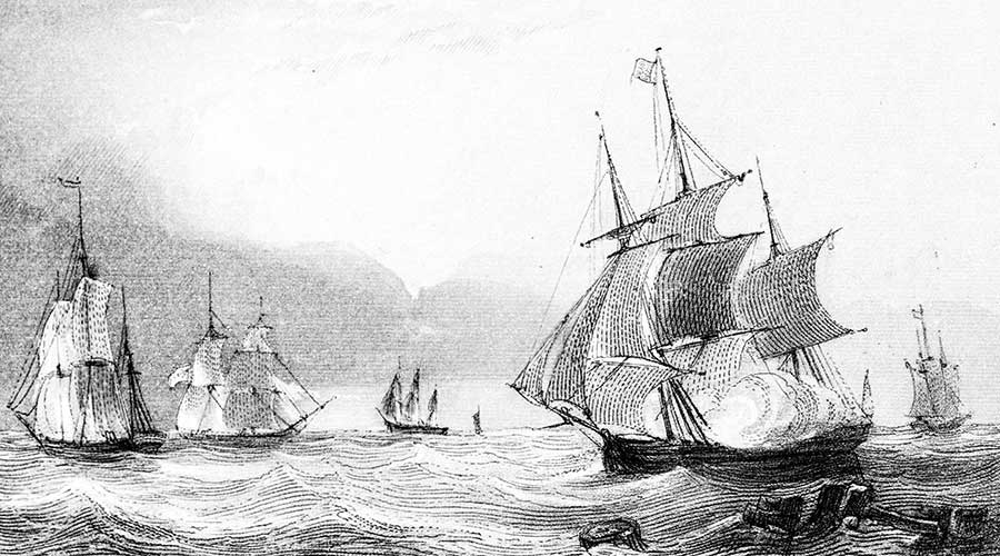 Naissance du tafia - histoire du rhum