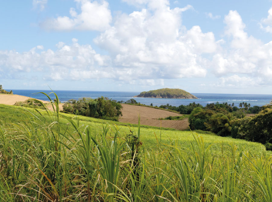 Rhums saint james Martinique Rhums saint james Martinique