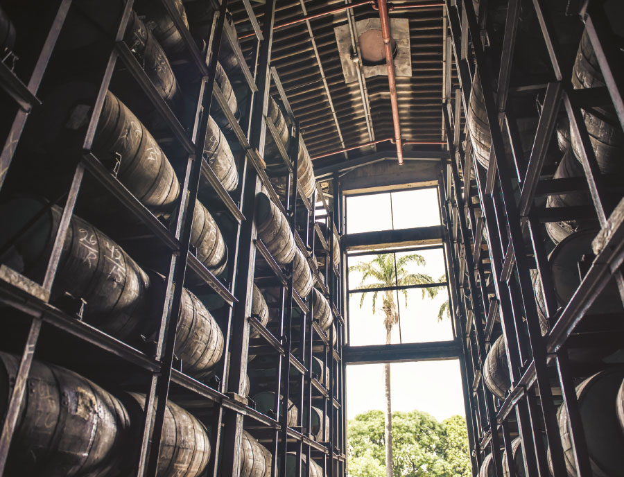 diplomatico