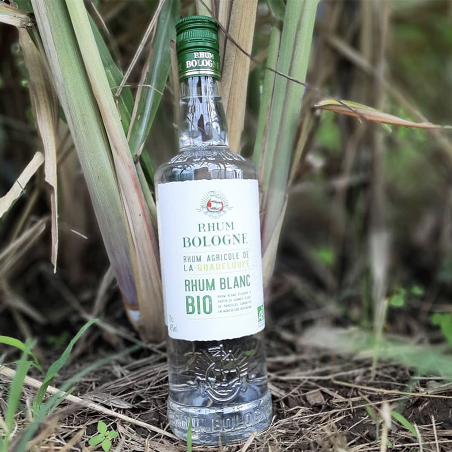 rhum bologne bio