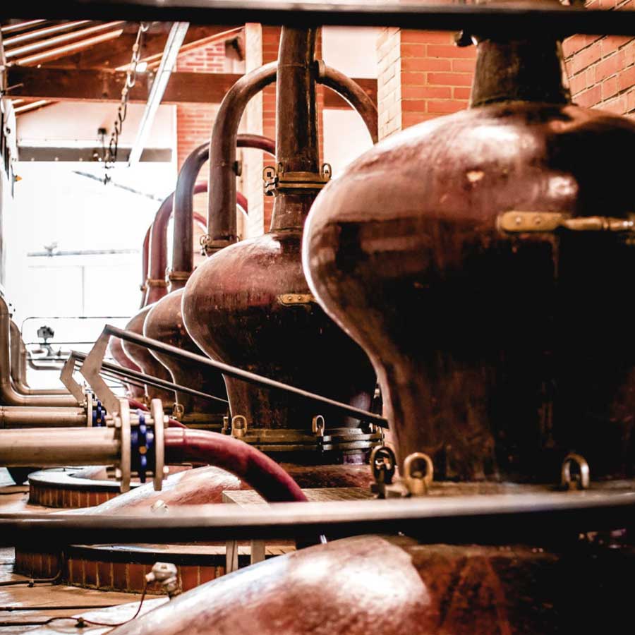 Hedonist Spirits