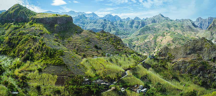 grogues du Cap-Vert