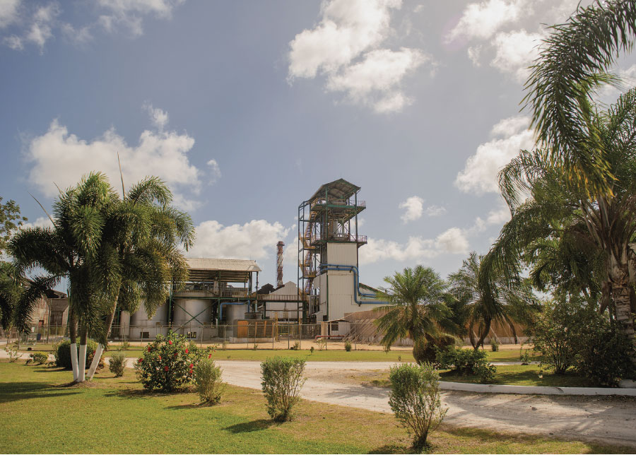 Clarendon Jamaïque