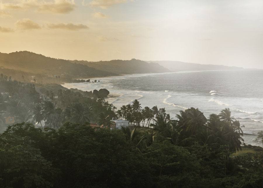 Jamaïque Canerock