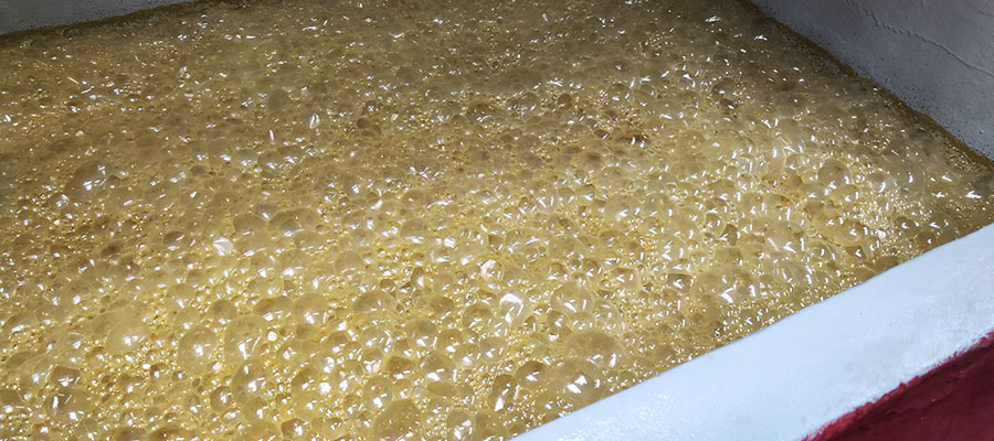 Engenhos do Norte fermentation