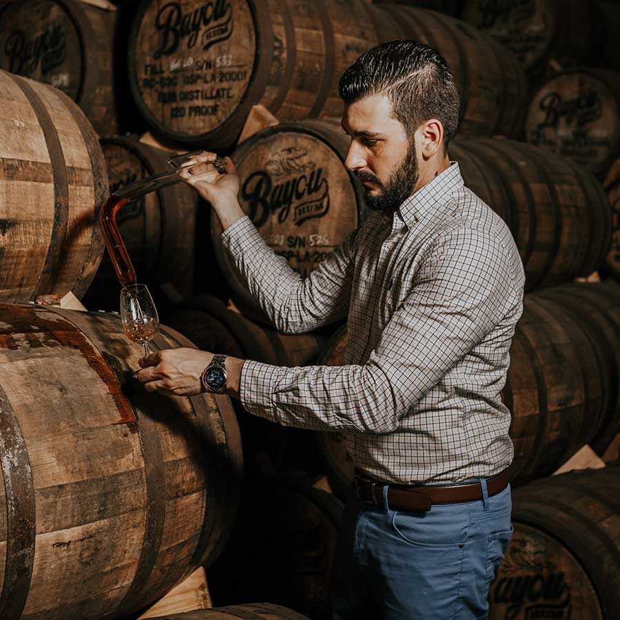 Bayou Reiniel Vincente Diaz Master Blender