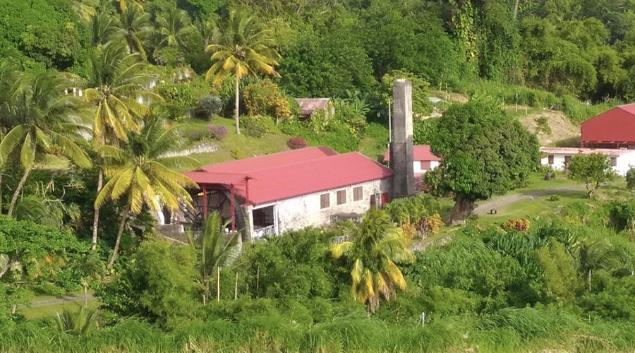 distillerie de Grand Réduit