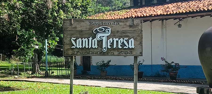 Santa Teresa