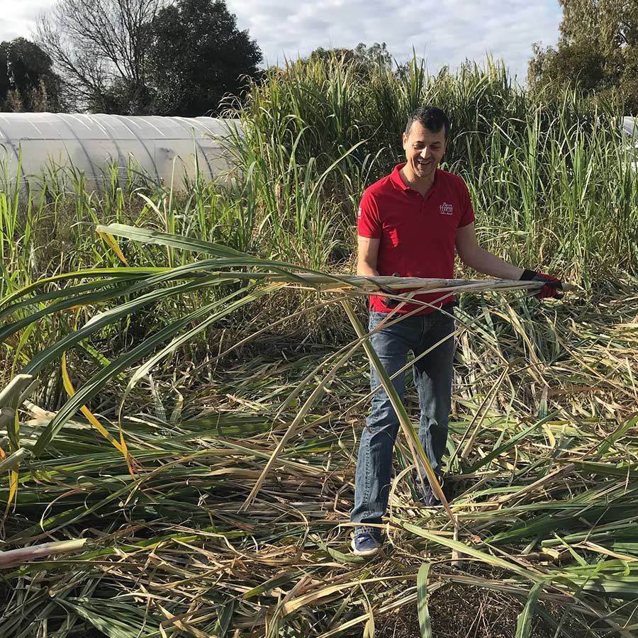 Guillaume Ferroni Guillaume Ferroni