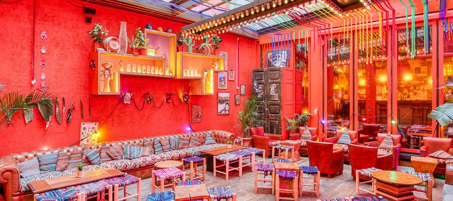 Viva Agave !
