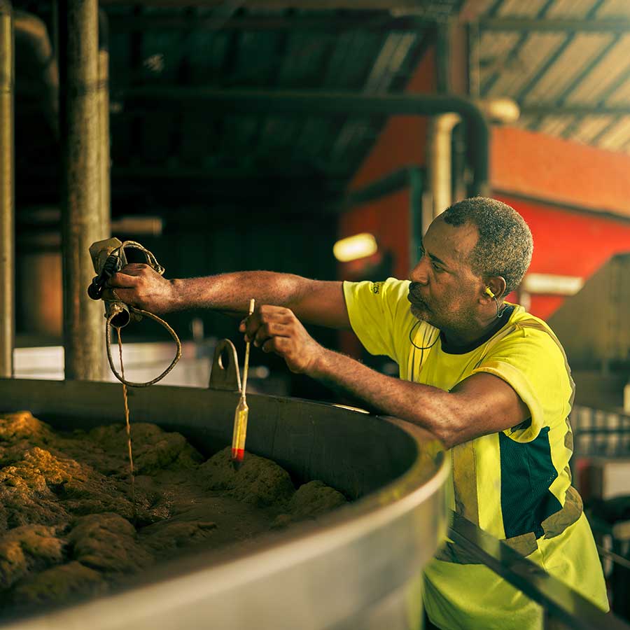 Rhums Trois Rivières fermentation