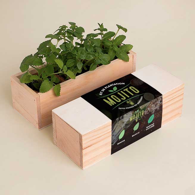 Mojito kit