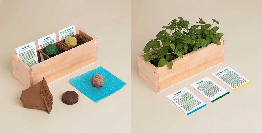 Mojito kit