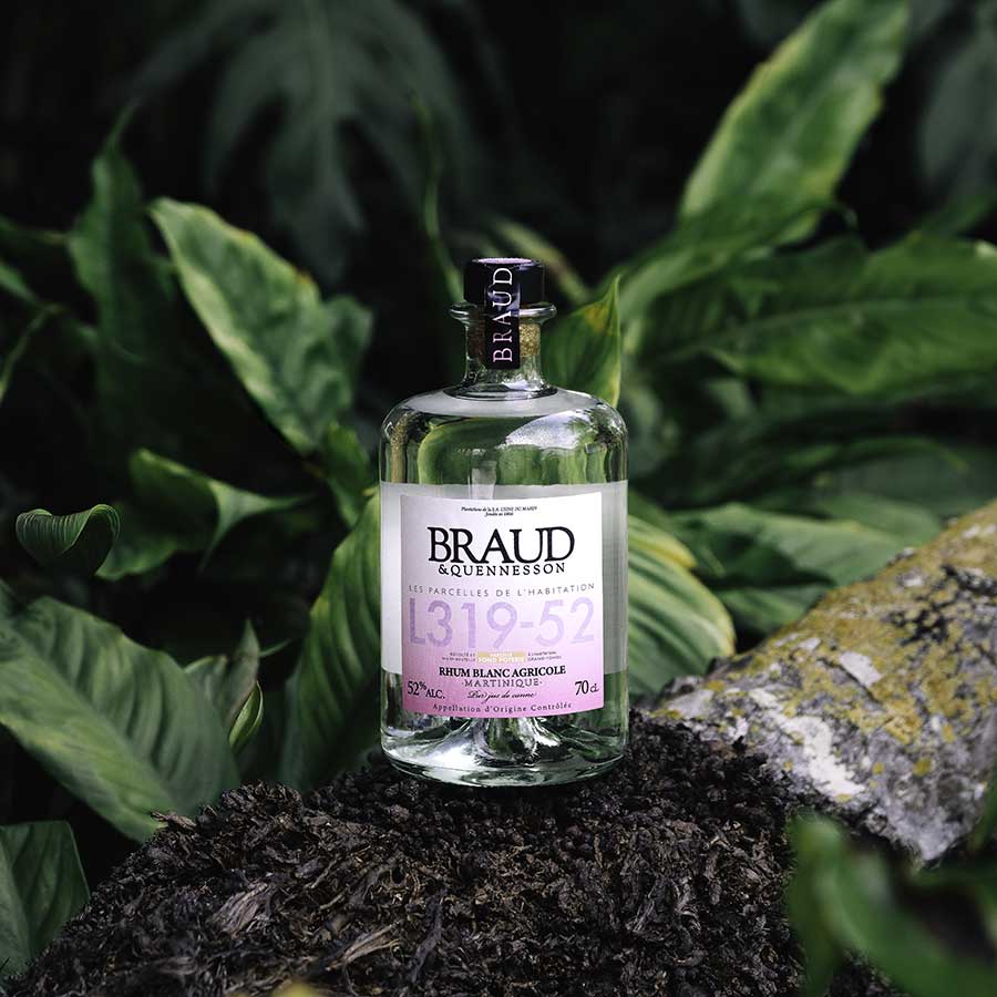 Braud & Quennesson parcellaire