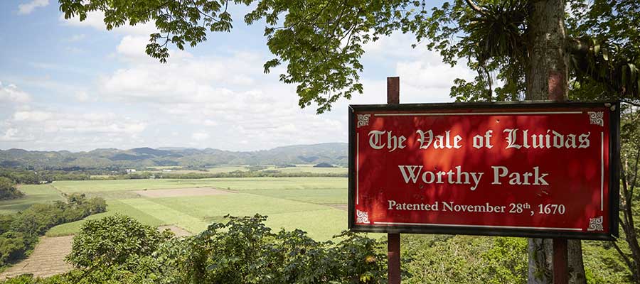 Worthy park