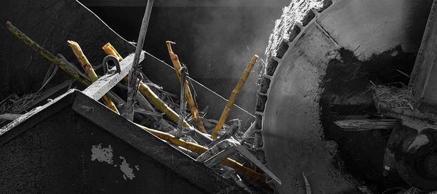 Entretenir une distillerie neisson