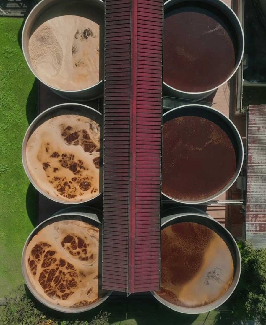 DBM cuve de fermentation