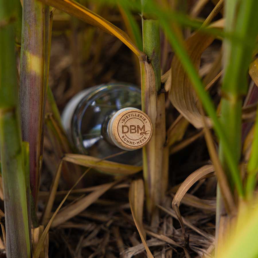 DBM