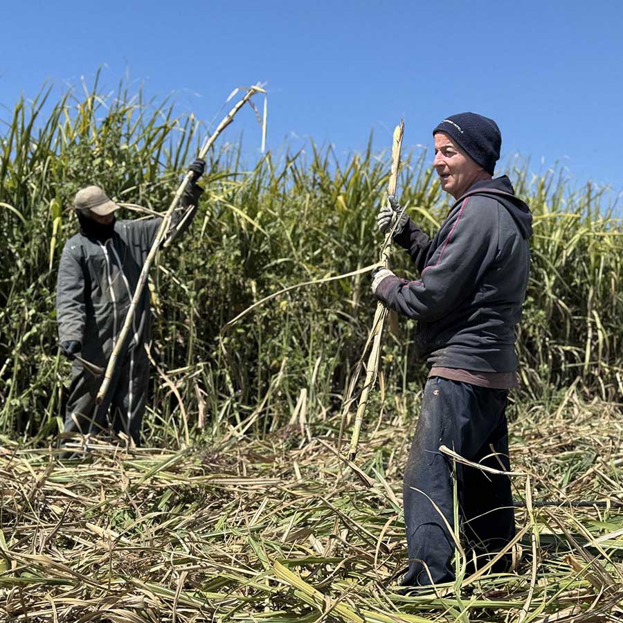 rhum italie rhum italie