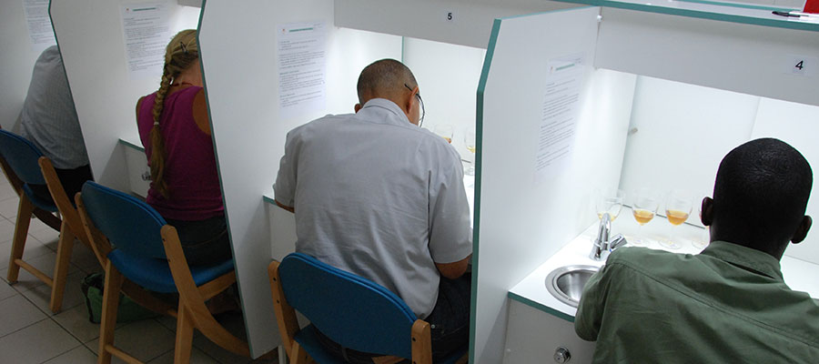 AOC Martinique Dégustation