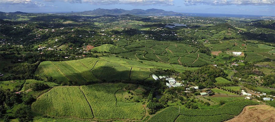 AOC Martinique
