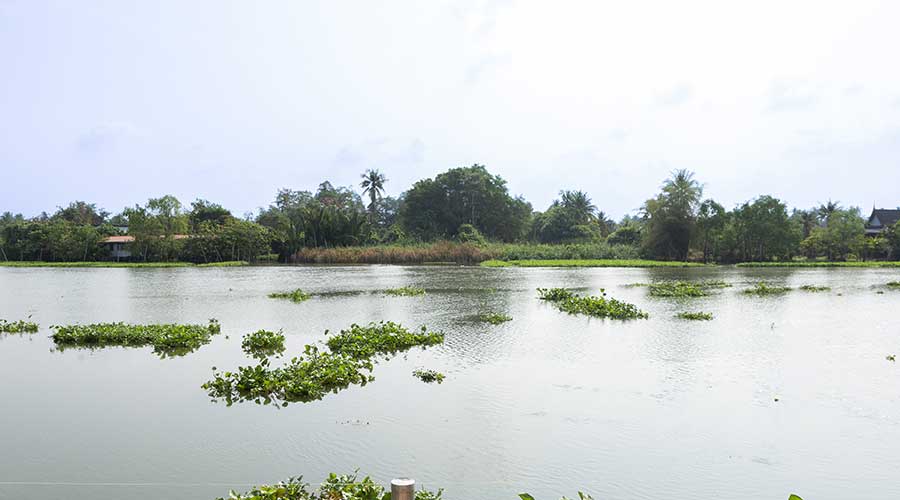 Phraya Thailande