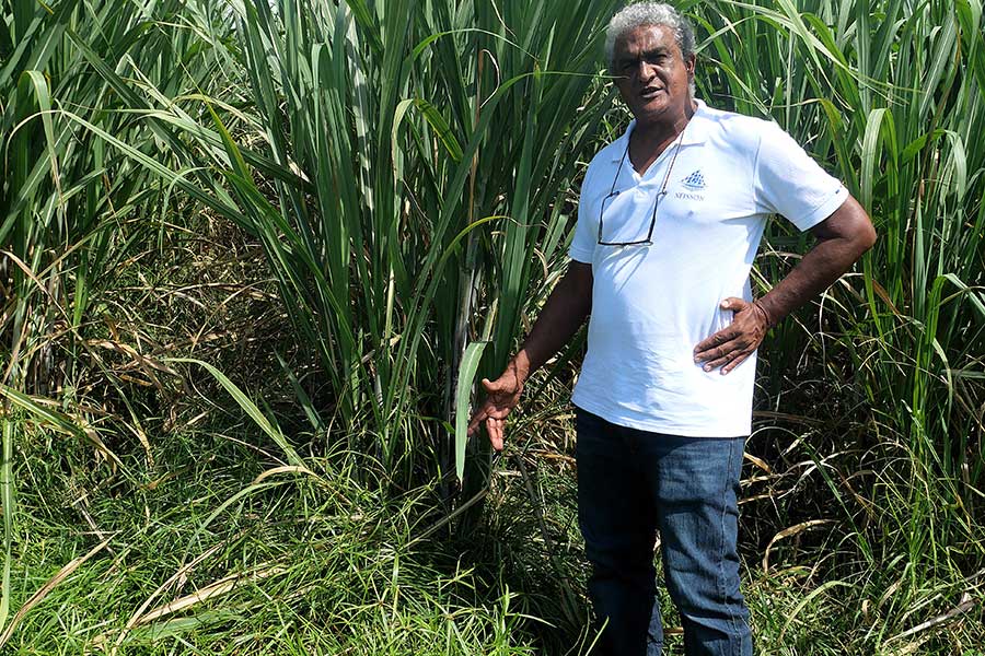 Alex Bobi Neisson Alex Bobi Neisson