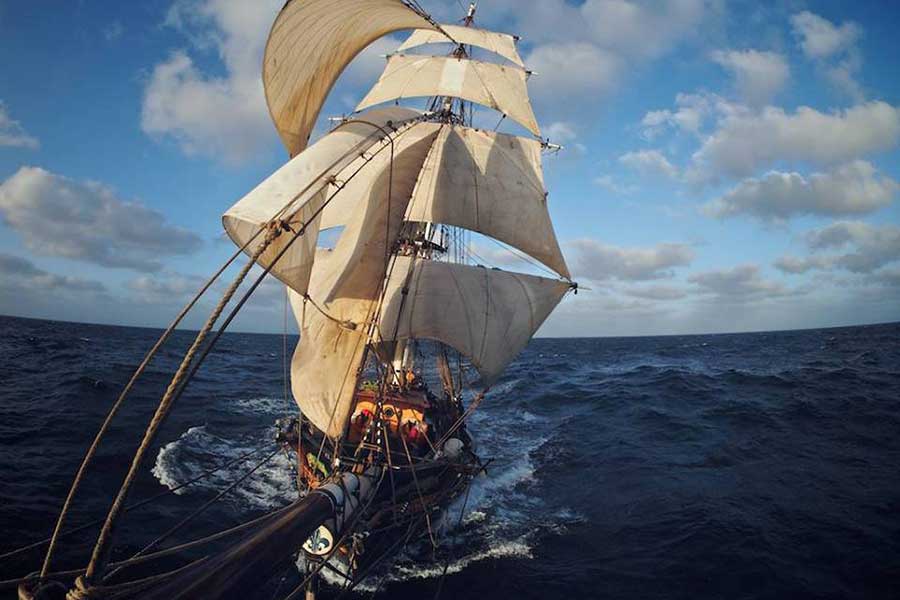 les Frères de la Côte les Frères de la Côte