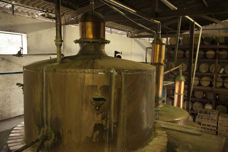 Magnigfica Cachaça Magnigfica Cachaça