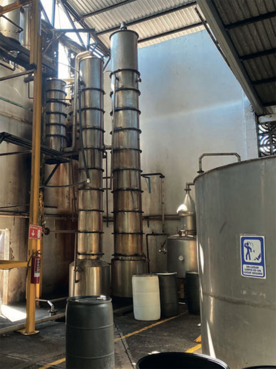 rhum mexicain rhum mexicain