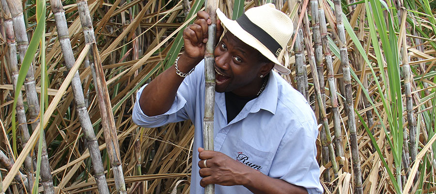 Ian Burrel Ian Burrel