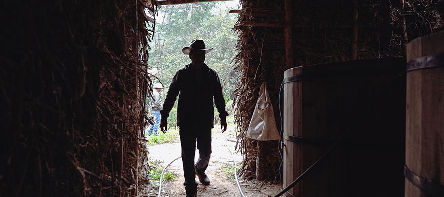 rhum mexicain rhum mexicain