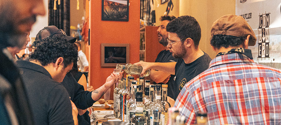 Viva Agave Viva Agave